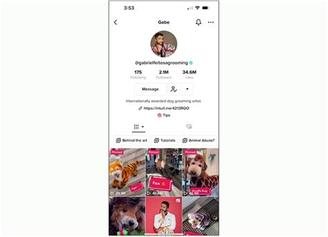 The Ultimate Guide to TikTok Playlists (with Examples)