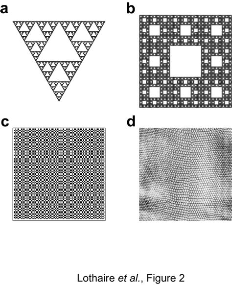 Figures selected to validate the algorithm (a) The Sierpinski triangle... | Download Scientific ...