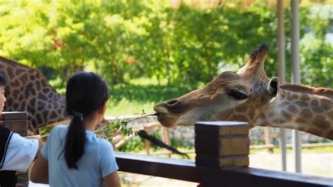 Die besten Zoos Deutschlands im Ranking