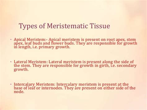 2 Different Types Of Meristems Diet - coachinter