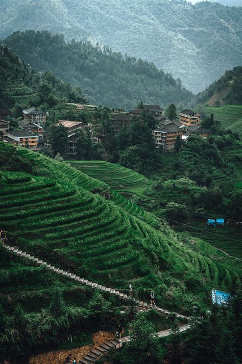 The Longsheng Rice Terraces on Behance