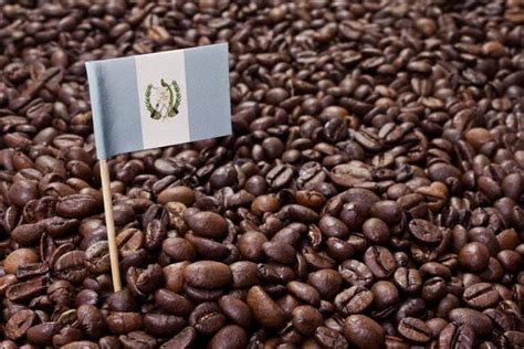 Guatemala Huehuetenango Coffee: Bean History & Flavor Guide | Coffee Affection