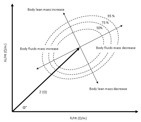 Sensors | Free Full-Text | The Theory and Fundamentals of Bioimpedance ...