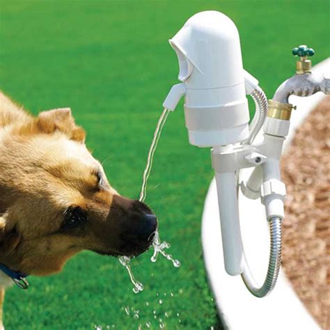 Outdoor Dog Water Drinking Fountain