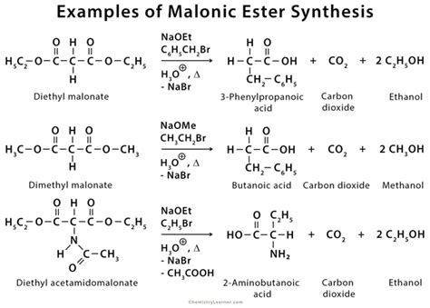 Malonic Ester Synthesis: Definition, Examples, and Mechanism