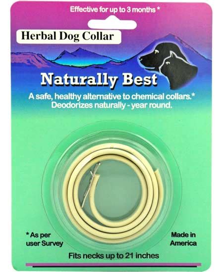 Flea Collars for Dogs and Cats That Effectively Repel Pests - FLEABITES