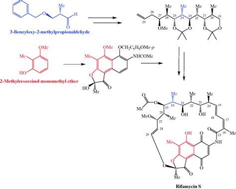 Rifamycin Antibacterial Agents | Basicmedical Key