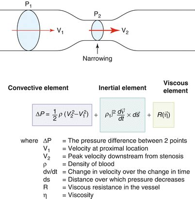 Aortic Valve Area Calculation Continuity Equation - Tessshebaylo