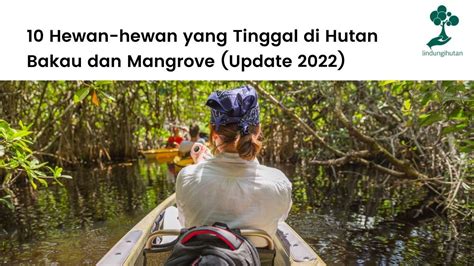 10 Hewan-hewan di Hutan Bakau dan Mangrove (Update 2022)