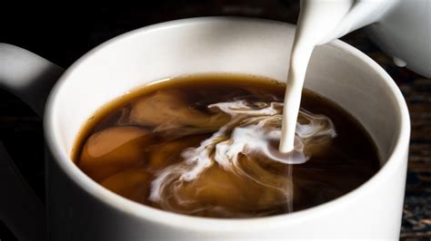 What Is The Best Way To Prepare Your Cup Of Coffee? - Exclusive Survey