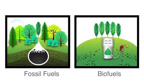 3 Types of Biofuels: Advantages and Disadvantages | Linquip