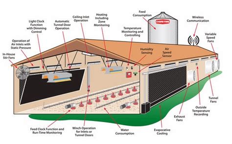 Broiler Chicken House Plans South Africa ~ build your own hen house