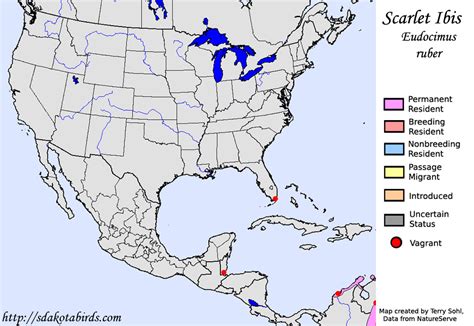 Scarlet Ibis - Species Range Map