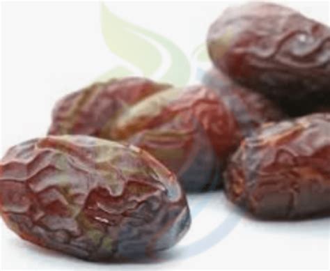 Date Palm Seeds - Nursery, Plants, Health & Beauty Hartbeespoort