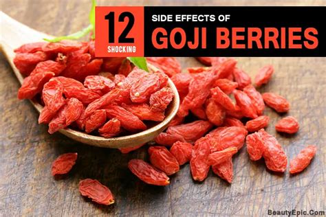 12 Shocking Side Effects Of Goji Berries You Should Know