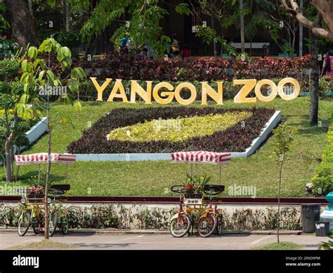 Sign at the entrance of Yangon Zoo in Yangon, Myanmar Stock Photo - Alamy