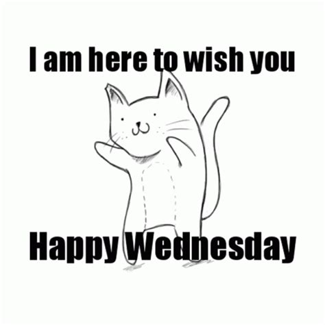 Happy Wednesday Dancing GIF - Happy Wednesday Dancing Cat - Discover & Share GIFs