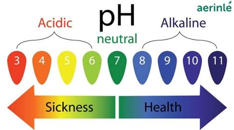 What Is Ph Balance Importance Of Ph Balance In Human Body | Images and ...