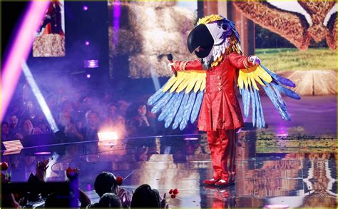 Photo: macaw masked singer clues 05 | Photo 4912208 | Just Jared