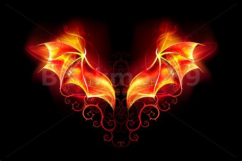 Fire Dragon Wings (144731) | Illustrations | Design Bundles