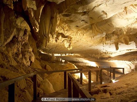 Lang cave Sarawak, Borneo, Cave, Gallery, Roof Rack, Caves