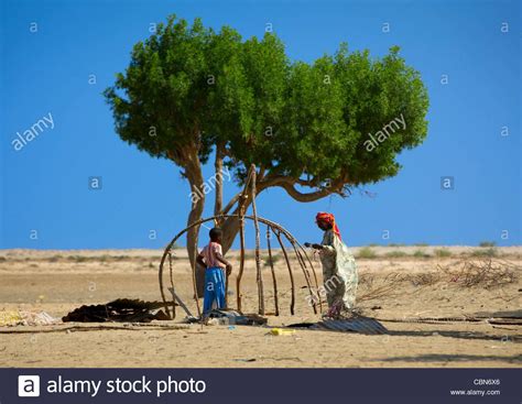 Senior Woman And Child Construct Aqal Soomaali, Somali Hut Next To A ...