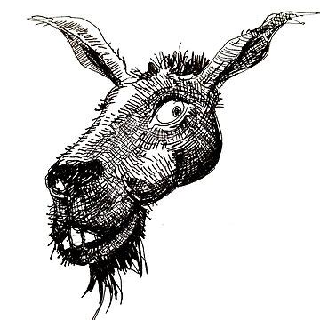 "An ugly donkey" Poster by Wolfgang Diemer | Redbubble