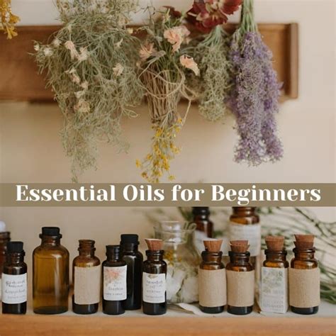 Essential Oils for Beginners - Little Frugal Homestead