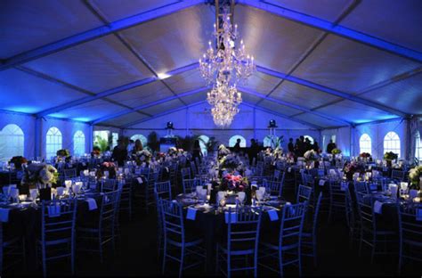 Need a theme for your upcoming party or gala? Here are 15 creative theme idea. | Fundraising ...