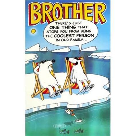 Big Brother Little Brother Birthday Quotes To Funny. QuotesGram