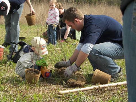 Problems with Tree Planting Campaigns – Benicia Tree Foundation