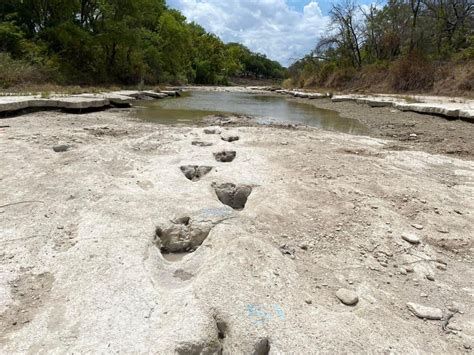 Drought uncovers ancient dinosaur tracks at famous Texas park - CultureMap Austin