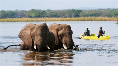 Lower Zambezi National Park Wallpapers - Wallpaper Cave