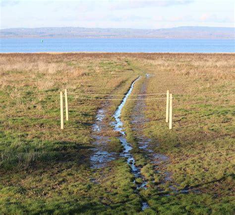 Salt Marsh Study - Friends of Portbury Wharf Nature Reserve