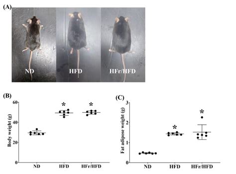 (A) Photographs of representative male C57BL/6J mice fed for 12 weeks... | Download Scientific ...