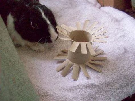 Bunny DIY: How to Make Your Own Homemade Rabbit Toys - PetHelpful