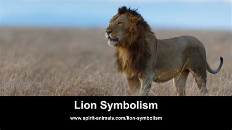 Lion Symbolism - YouTube