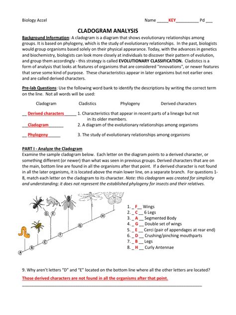 Solved Phylogeny and Cladistics Worksheet (These are the | Chegg.com - Worksheets Library