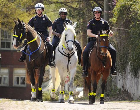 Pin on Police Horse tack