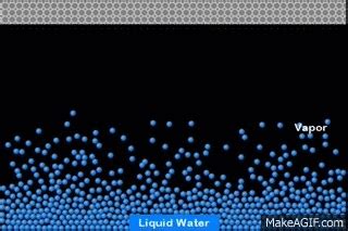 Image result for liquid to gas evaporation gif | Evaporation, Liquid, Gas