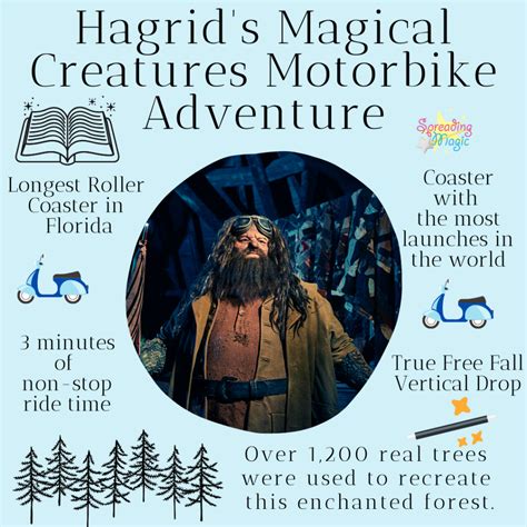 Guide to Hagrid’s Magical Creatures Motorbike Adventure at Universal