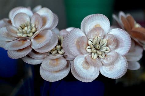 seashell flowers | Recent Photos The Commons Getty Collection Galleries ...