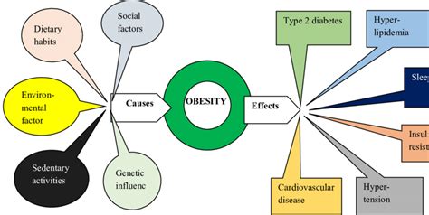 What Causes Obesity? - The Main Factors - The major causes and consequences of obesity. Download ...