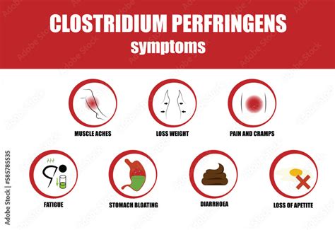 Clostridium perfringens, Symptoms of illness, icon of symptoms Stock ...