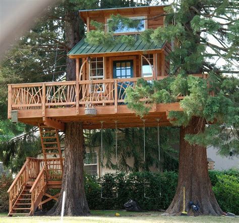 Most Beautiful Photos: Amazing Tree House