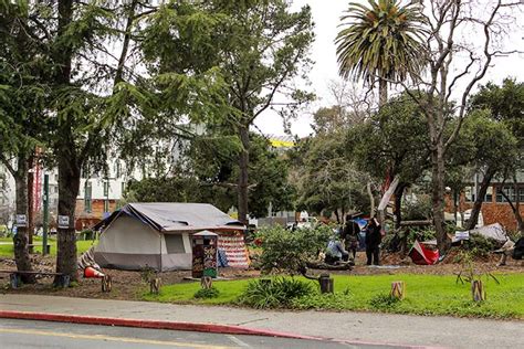 University resumes tree maintenance at People’s Park - Berkeley News