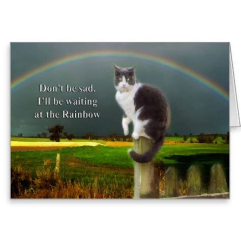 Pet Loss Quotes Cats. QuotesGram