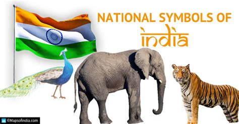 National Symbols of India And Their Meaning - National Animal, Bird ...