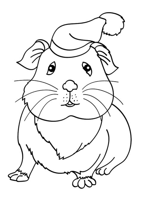 Guinea Pig: Coloring Pages & Books - 100% FREE and printable!