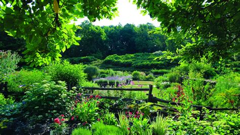 Cornell Botanic Gardens’ plants available online | Cornell Chronicle